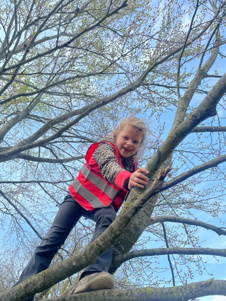 Sport-BSO Flekss Den Hout