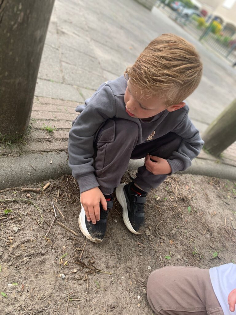 flekss kinderopvang de Wildert