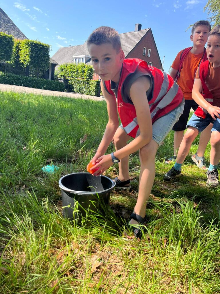 Sport-BSO Flekss den hout