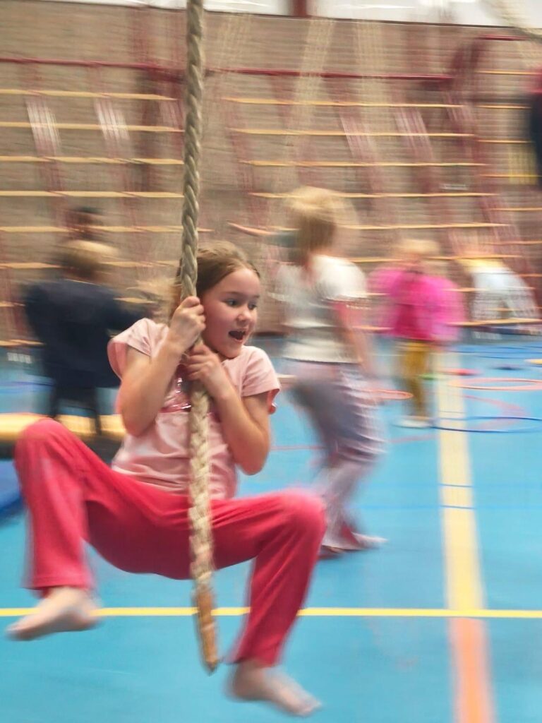 Sport-BSO Flekss Dillehof