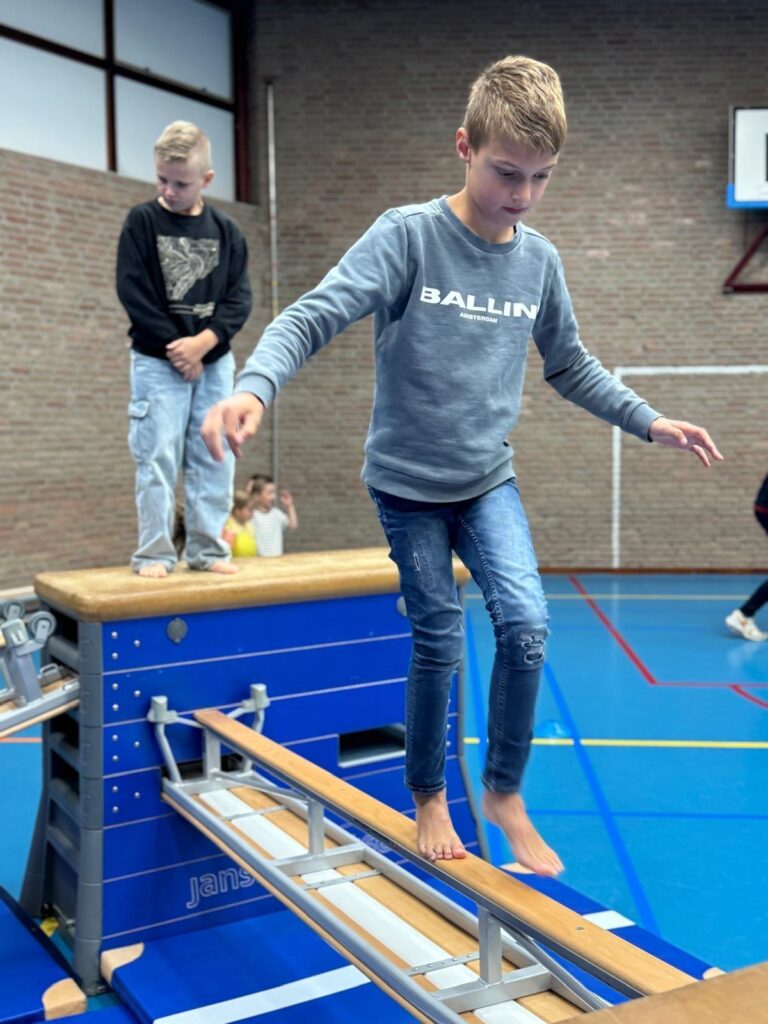 Sport-BSO Flekss Dillehof