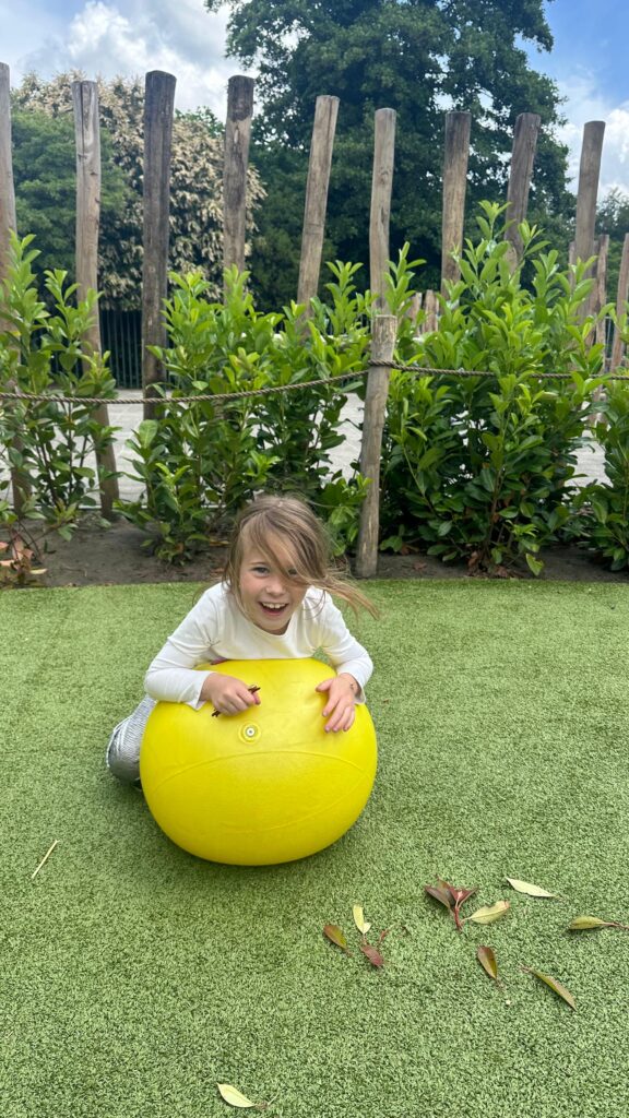 juni rietvink
