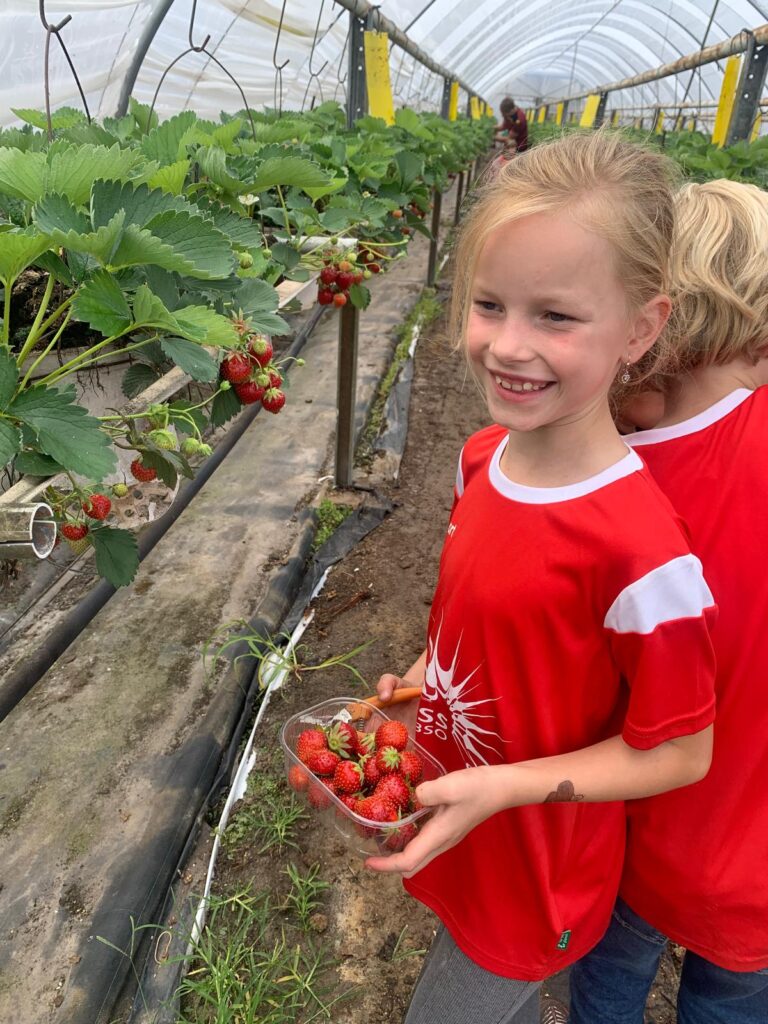 Sport-BSO Flekss Lage Zwaluwe - Aardbeienterras