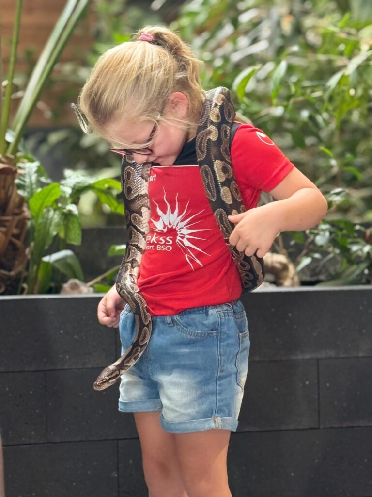 Sport-BSO Flekss Made - Reptielenhuis
