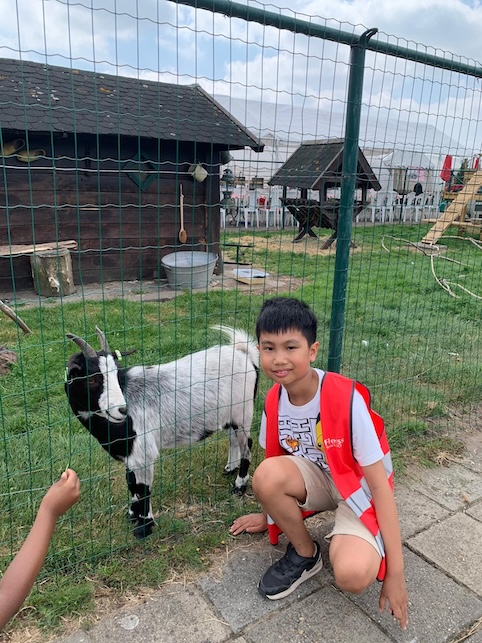 kind samen met een geit tijdens de vakantie