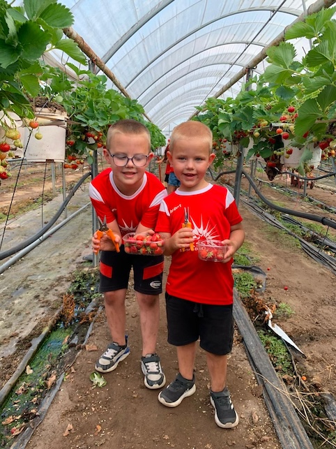 kinderen plukken aardbeien bij het aardbeienterras