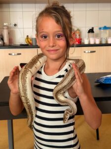 Reptielen workshop
