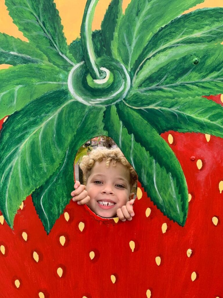 kindje-op-de-foto-met-aardbei