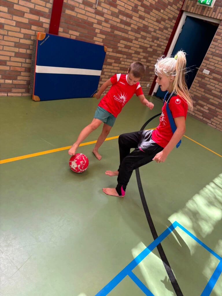 Sport BSO Flekss