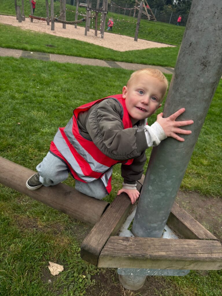 Rietvink spelen somerweide