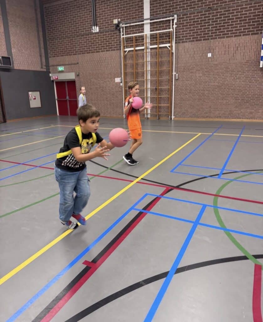 Sport BSO Flekss 4