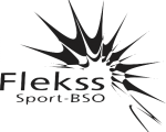 Logo Flekss