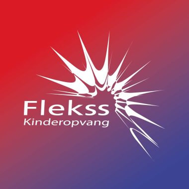 logo flekss